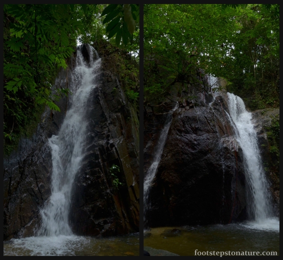 Two major falls plus one miniature make it a triplet waterfall